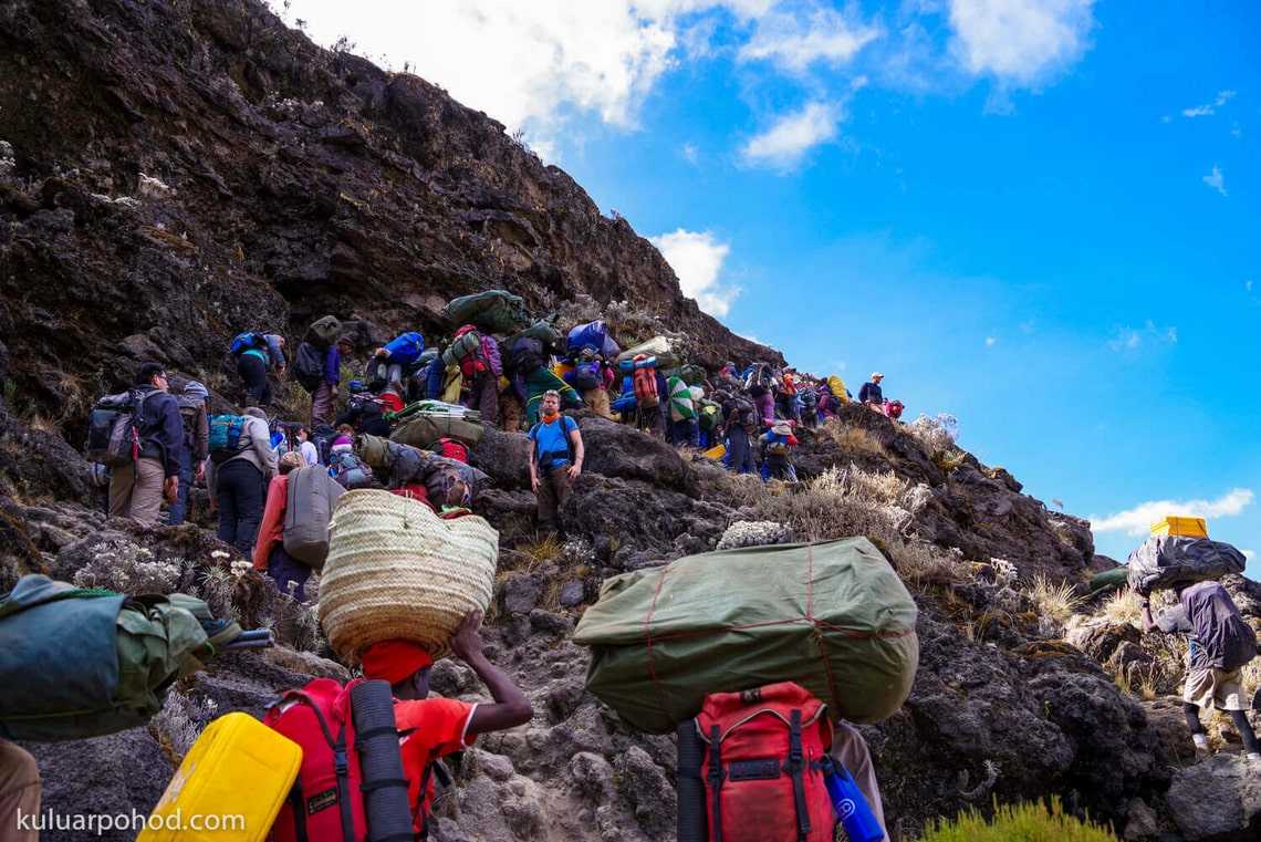 Килиманджаро, сафари или Занзибар – где больше впечатлений? - фото 8